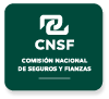 Comisión Nacional de Seguros y Fianzas